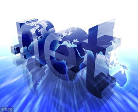 電子商務(wù)的浪潮 電子技術(shù)驅(qū)動下的社會變革與影響